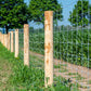 Field Fence