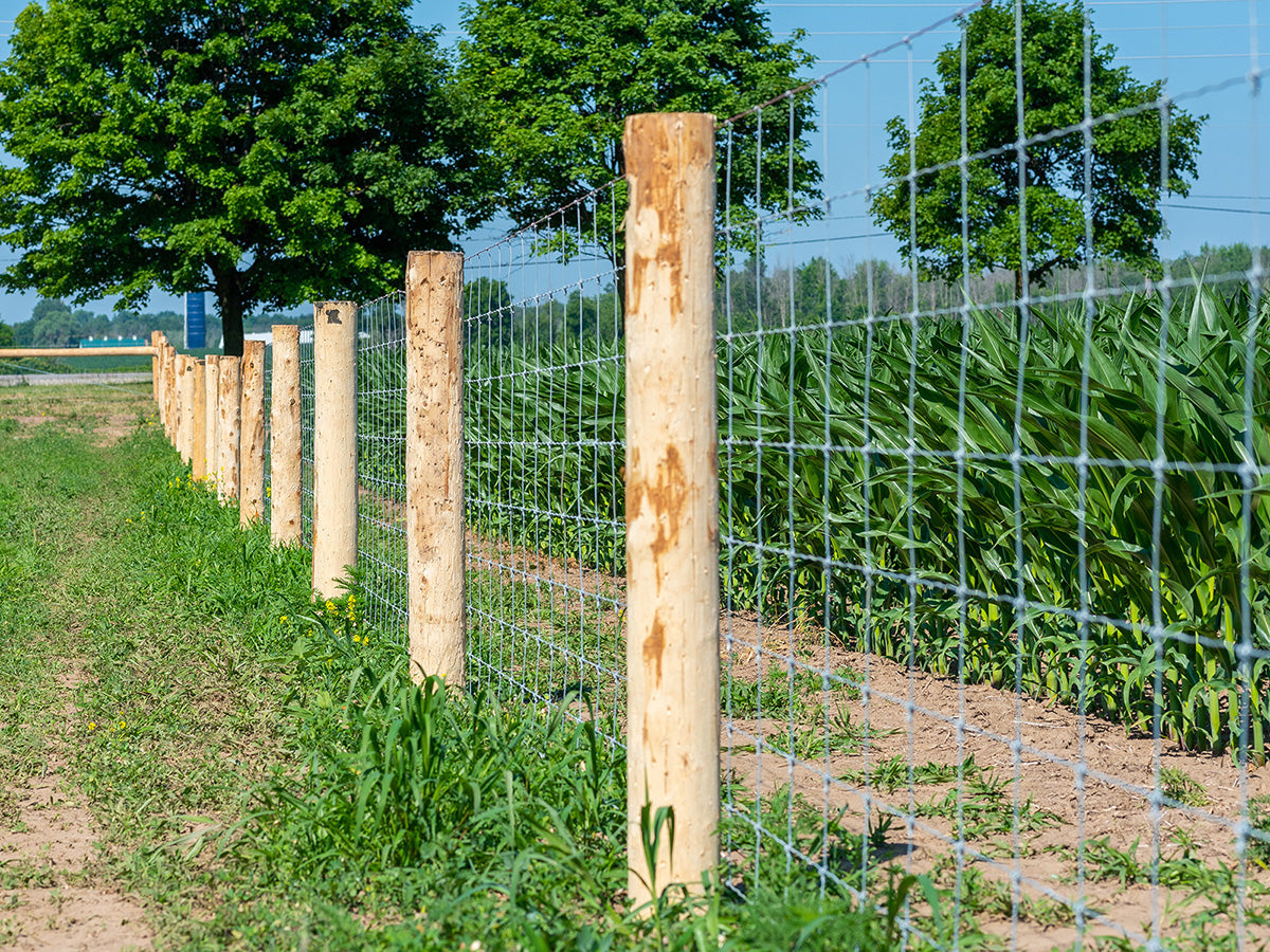 Field Fence