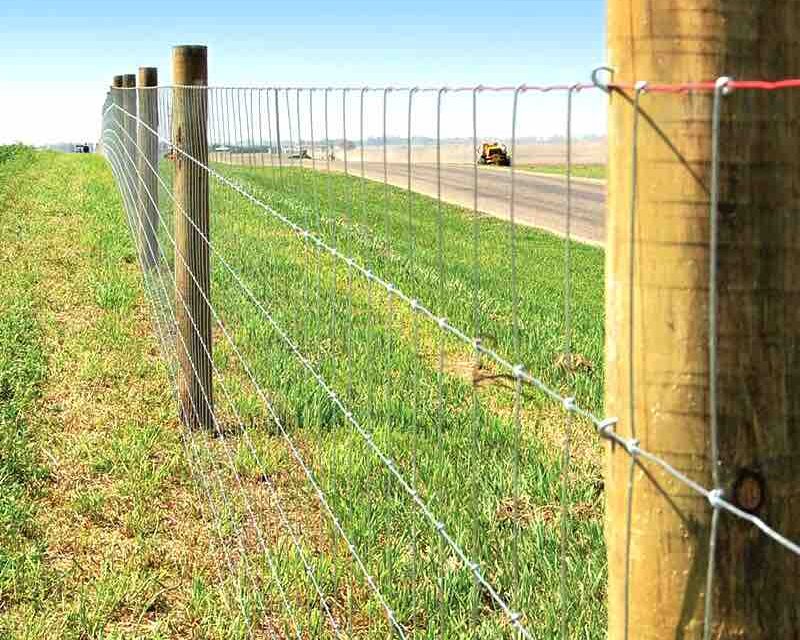 Field Fence