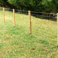 Field Fence